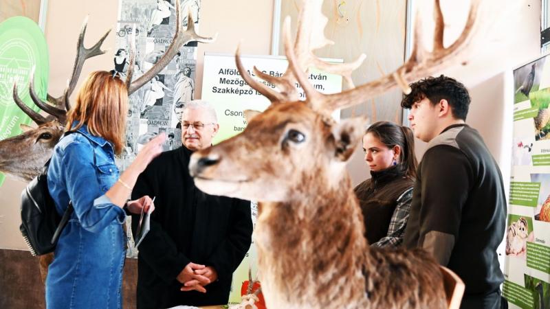 Trófeák, halak, villanó fények – így elevenedik meg a természet varázsa a mozivásznon.
