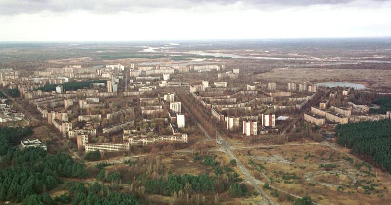 A csernobili katasztrófa következményeként a sugárzás drámai hatással volt a környék élővilágára, különösen a kutyákra. Az atomreaktor balesete után sok állat, köztük rengeteg kóbor kutya maradt a sugárzó zónában, ahol az életkörülmények rendkívül megvált